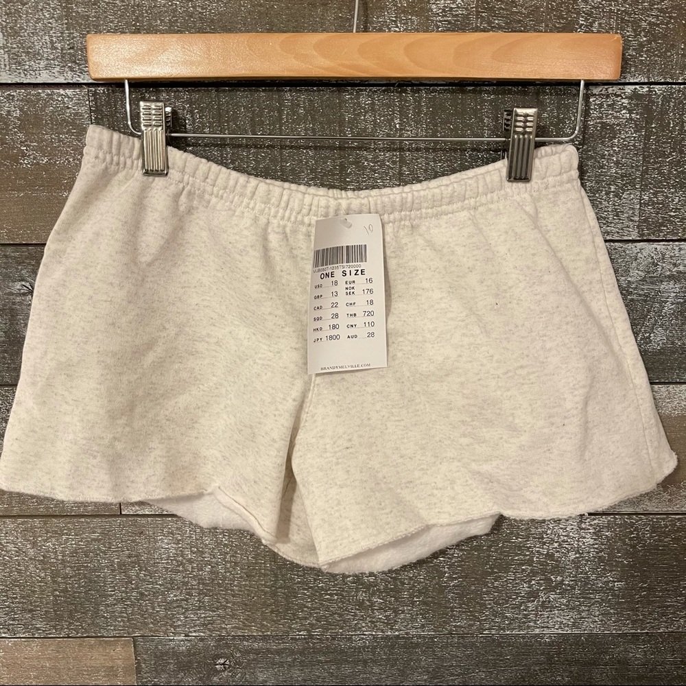 COPY - Brandy Melville shorts - Picture 1 of 3